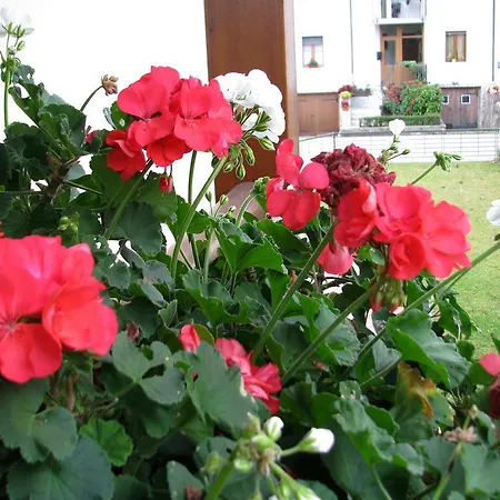 Casa Bribano بيت للعطل